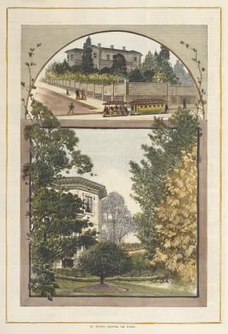 Dr Rowan’s Hospital for Women Anatomical Various