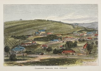 The Clarendon Vineyard, near Adelaide. Australiana (General)