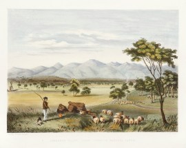 Lynedoch Valley, Looking Towards the Barossa Range. sic