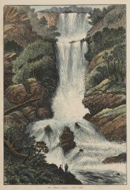 The Berry Falls, Gipps Land.