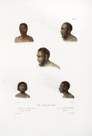 1. Habitant de Tonga, habitant Larchipel de Viti. 2.3.4.5. Habitants du Havre Carteret.