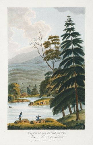 Scene up the River Huon. Van Diemens Lan… Tasmania