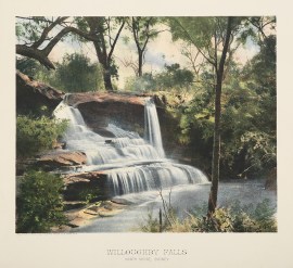 Willoughby Falls North Shore Sydney.