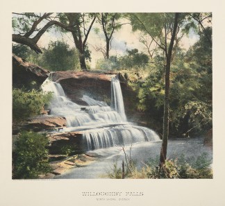 Willoughby Falls North Shore Sydney. Sydney