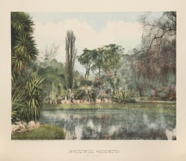 Botanical Gardens Sydney. NSW - Sydney