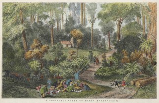 A Christmas Party on Mount Macedon. Victoria