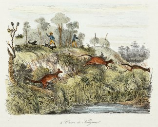 Chase du Kangarou. Australiana (General)