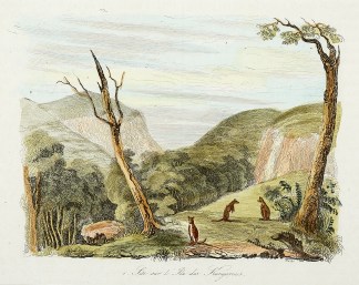 Site sur l’Ile des Kangarous. Regional