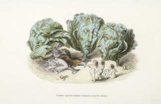 Comme Quoi les enfants viennent sous les… Fruits, Herbs, Medicinal, Spices, Vegetables