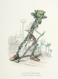 Le Choux de Bruxelles