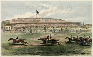 The Finish For the Melbourne Cup Equestrian