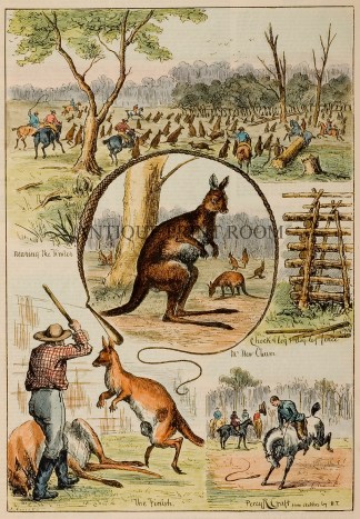 Hunting the Kangaroo Australiana (General)