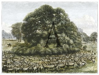 Sheep In The Shade Of A Gum-Tree. Australiana (General)