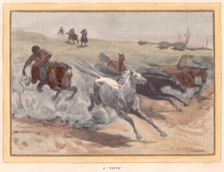 A "DRIVE" General / Global