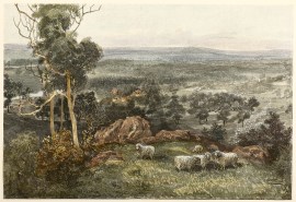 Ercildoune Sheep Station, Victoria.