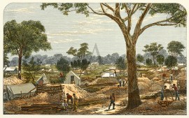 Gold-Fields Rush, near Navarre.