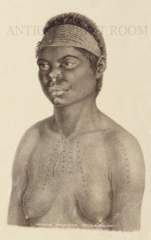Female Aborigine, of N.S.Wales. ABORIGINES