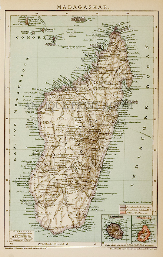 Madagaskar - Antique Print from 1895
