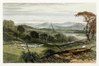 Harpers Hill, Hunter River. Regional