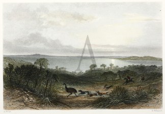 Lake Albert. AUSTRALIA