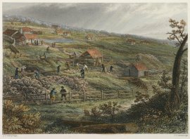 Concordia Gold Mines. Victoria - Country