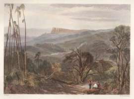 The Dandenong Ranges, Victoria.