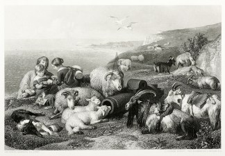 Peace General / Global