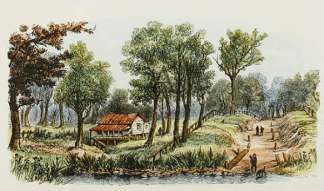 A New Clearing. Australiana (General)