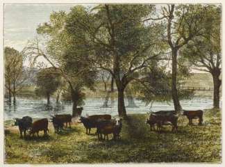 Collingrove Station, South Australia. Australiana (General)