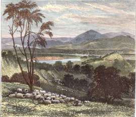 The Upper Goulbourn, Victoria.