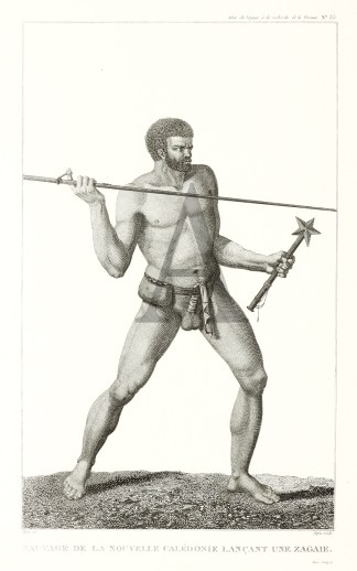 Sauvage de Sauvage de la Nouvelle Caledo… PACIFIC