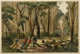 Erecting the Telegraph to the Omeo