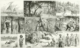 An Elephant Hunt in Ceylon Sri Lanka (Ceylon)