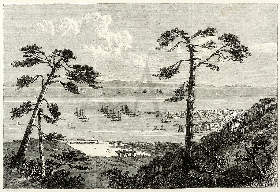 The Port of Hiogo, with the British and American Fleets at Anchor - Antique Print from 1861