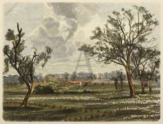 Eine Schaf-Farm in Victoria. Australiana (General)