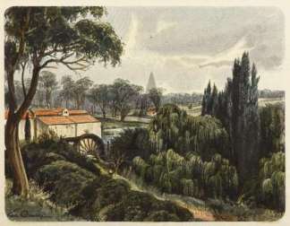 Baffervegetation bei Bridgewater (Victor… Australiana (General)