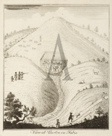 View at Barton in Fabis