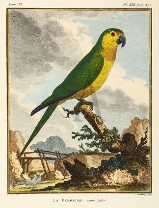 La Perriche apute juba. General / Global