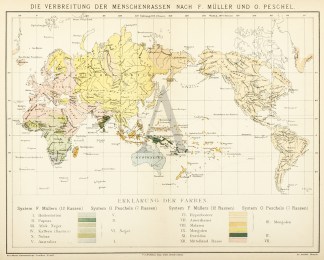 Die Verbreitung der Menschenrassen nach … WORLD