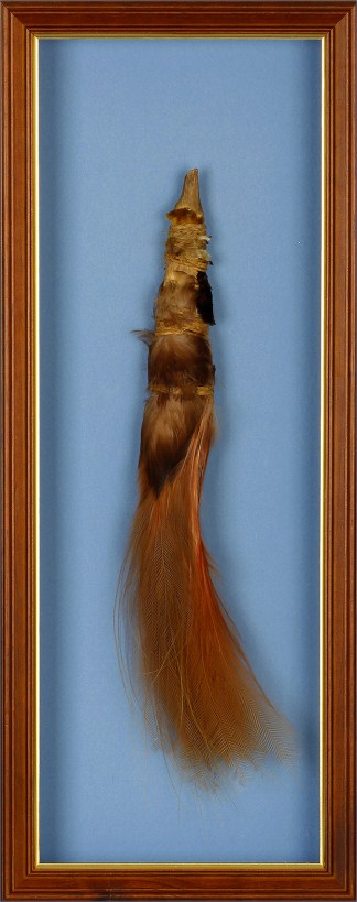 [Cased Red Bird of Paradise Skin] General / Global