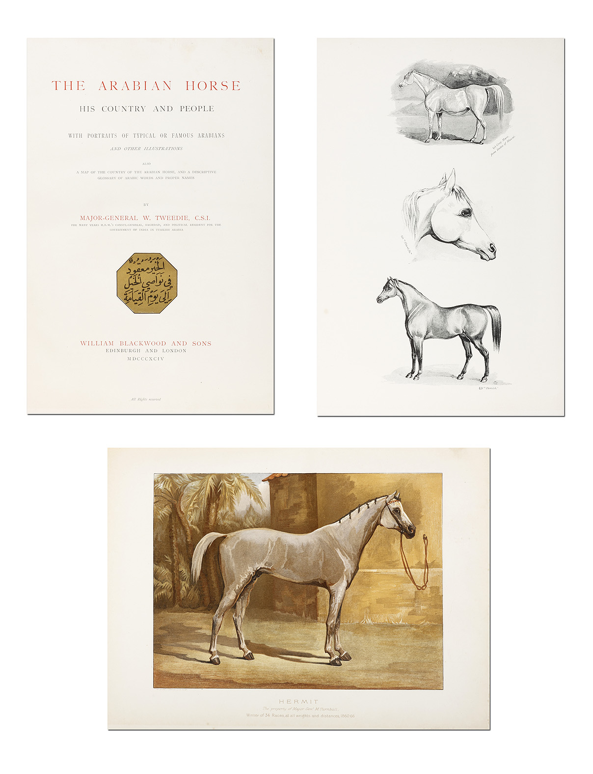 The Arabian Horse His Country and People with Portraits of Typical, or Famous Arabians and other illustrations... - Antique Book from 1894