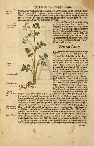 Bon Der Freutter Bnderschied General / Global Bon Der Freutter Bnderschied General / Global