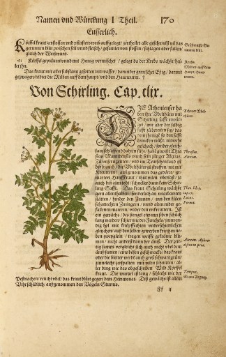 Von Schirling.Cap.dir General / Global Von Schirling.Cap.dir General / Global