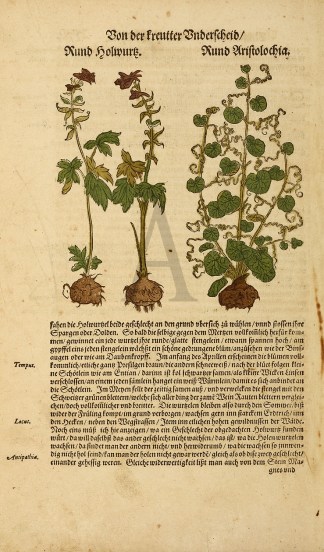 Von der Freutter Enderfcheib. Kund holwu… General / Global