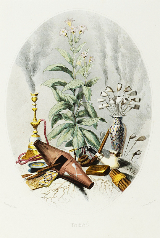 Tabac - Antique Print from 1867