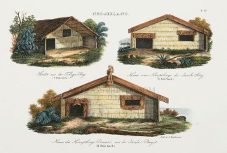 Heutte aus der Tolaga Bay. Haus eines Ha… North Island