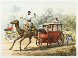 Our Doctors Wife. India