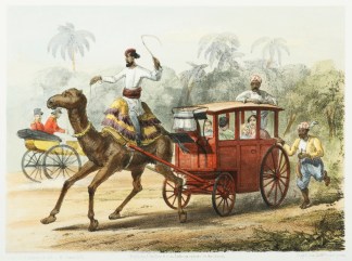 Our Doctors Wife. India Our Doctors Wife. India