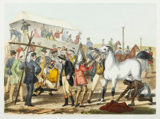 Our Race Course. Equestrian