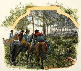 The Great Scrub Suddenly Seemed to Move.